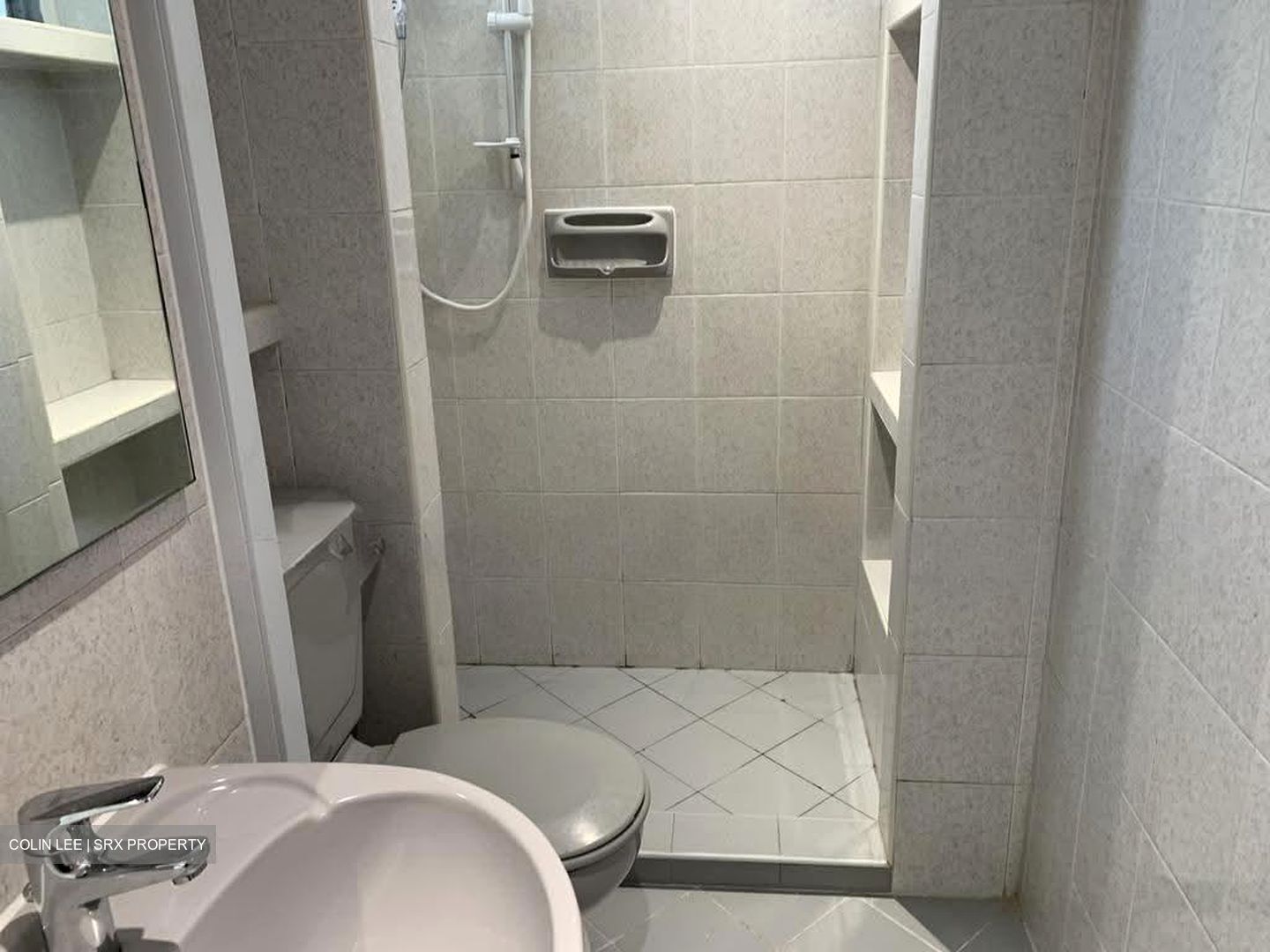 Dunearn Road (D11), Condominium #631867821
